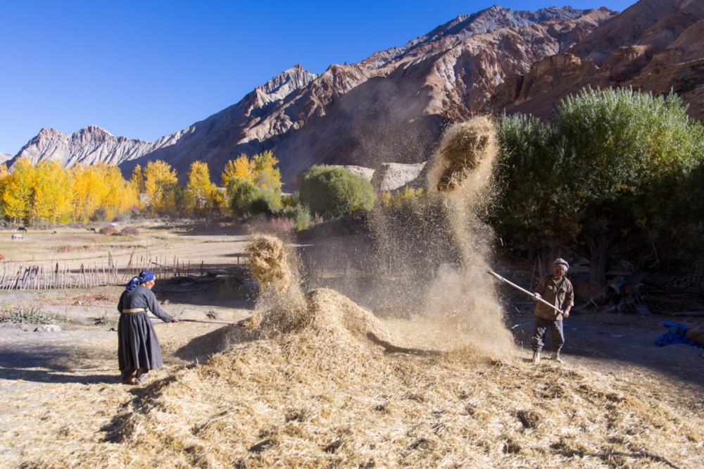 The whistling old couple of Markha Valley