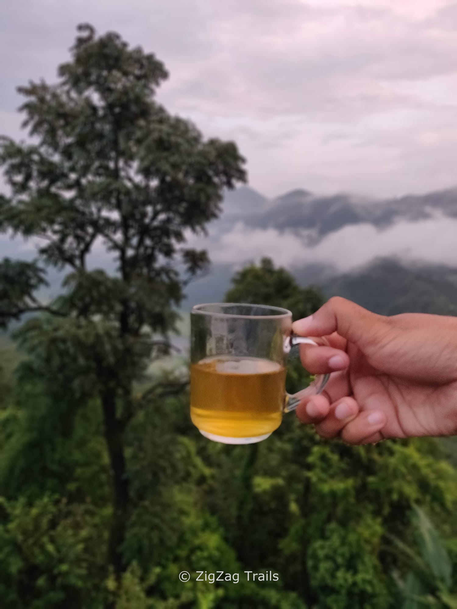 The freshly prepared Lemon Mint tea by Dinesh Ji at Dinesh guest house, Begnas.