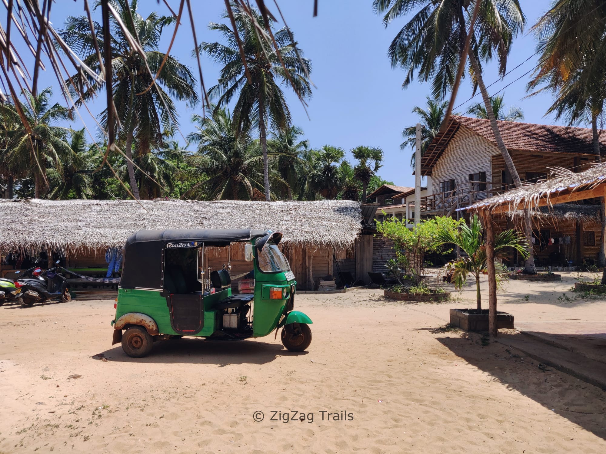 Don't skip this Dolphin paradise in Sri Lanka - Kalpitiya